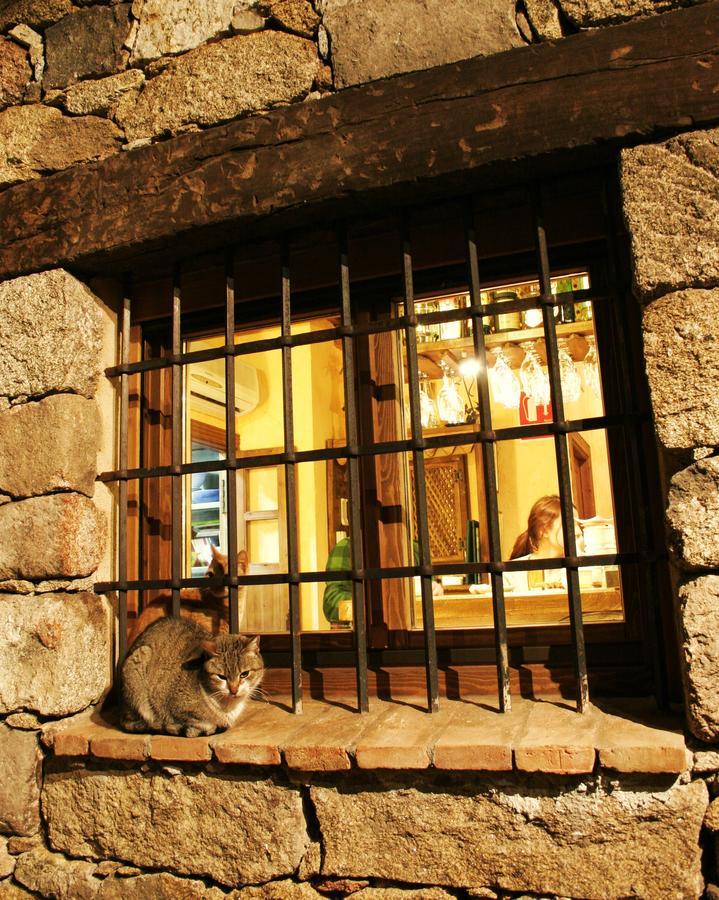 Posada La Gatera 佩德罗－贝尔纳多 外观 照片